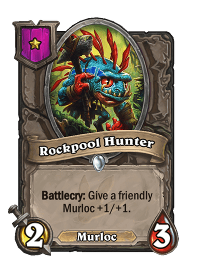 96761-rockpool-hunter